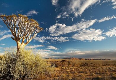 Richtersveld: Moo Setso sa Nama le Tlhaho di Phelang Hammoho